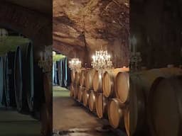 Buena Vista winery Sonoma California #wine #winery #winetasting
