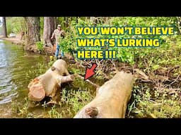 CATCHING FISH for DINNER !! (CRAZY ENCOUNTER )