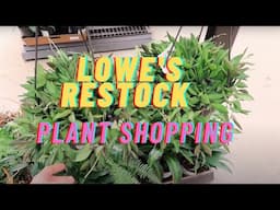 Lowe's Restock Inventory Plant Shopping | May 20, 2021| CO
