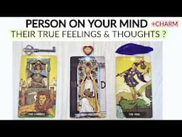 PICK•• PERSON ON YOUR MIND 💗 WHAT ARE THEY THINKING & FEELING FOR U 🥺 +CHARM TIMELESS