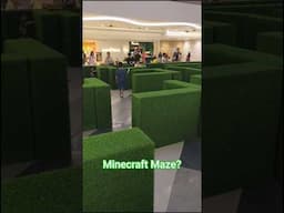 I brought my diamond sword into the Minecraft Maze #mallrats #minecraft #sword