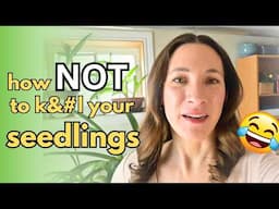 how to NOT ki*l your seedlings 😂