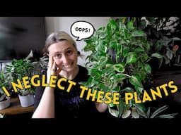 These 9 Houseplants Thrive on Neglect!