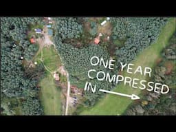 YEAR 4 recap. Building and regenerating our offgrid land in Portugal
