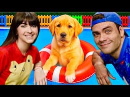 Luccas Neto ensina como cuidar de dogs
