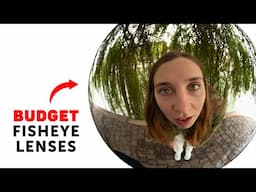 Fisheye Lenses: The Good, the Bad, and the Best