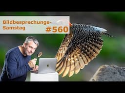 Bildbesprechung 560