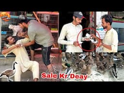 Sary Nayab Birds Hamza Shikari Ny Pets Market Main Sale Kr Deay😡