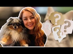 It's almost kitty time! | Preparing for my new cat