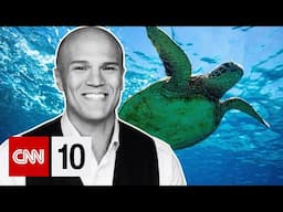 A Turtle Rescue In Maui | April 23, 2025