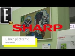 In-Depth Look at the Sharp Spectra 6 Color EINK ePosters