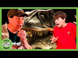 You Won't Believe It! Dinosaur Park Big Surprise | 🦖🦕 T-Rex Ranch Dinosaur Videos