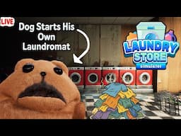 Bun starts a new business for kids who cant laundry so good