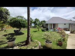 A VIEW FROM OUR CCTV CAMERA IN THE PHILIPPINES !