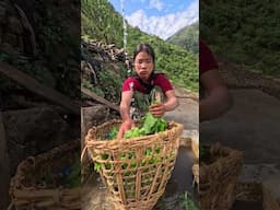 #himalayanlife