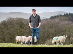 From Hill to Ring: A Mule Breeder’s Journey - Episode 1