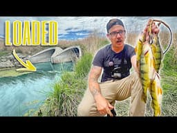Fishing Urban Tunnels LOADED w/ TASTY FISH!!! (Catch, Clean & Cook)