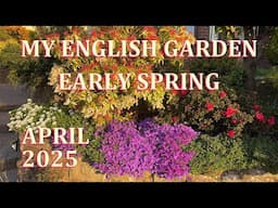 Early April, Spring in Flower Tour - My English Garden  - April 2025