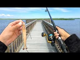 I Caught a STRANGE Fish from this Pier.. and ATE it (Catch and Cook)