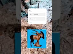 Minded Video Puzzle Game YouTube Clip #puzzle #gameplay