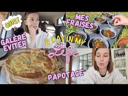 VLOG : Galère éviter, on prend soin des fraises, cuisine et on papote.