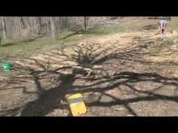 Garden Expansion!!! Front yard take over