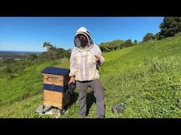 Flow Hive Classic�