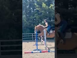 Jumping fun in our weekly lesson #horses