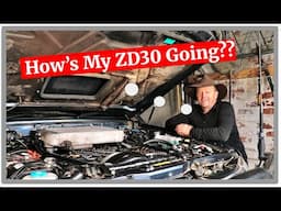 My ZD30 After Recent Head Gasket Work - [ STILL GOING STRONG ]