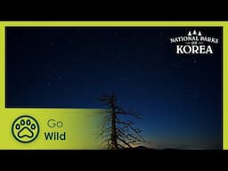 Mountains | National Parks of Korea 1/3 | Go Wild