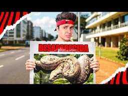MINHA COBRA DE ESTIMAÇÃO DESAPARECEU!