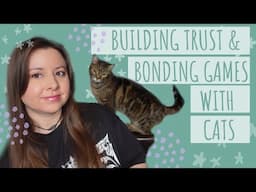 How to Make Your Cat Trust You