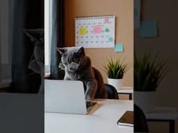 My best-performing SEO content template (100% ChatGPT optimized)👇