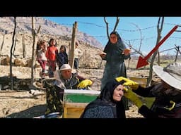 "Secrets of Nomadic Beekeeping in Iranian Villages"