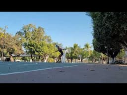 SurfSkating
