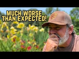 Damage Is Worse Than Expected! | Rambling
