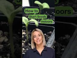 How to Start Seeds Indoors #StartSeeds #spring