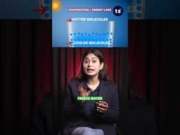 Evaporation = Freezing?! 🤯 Watch This Crazy Science! #shorts #chemistry