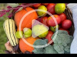 Is Gardening Worth It Financially?
