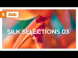 Silk Selections 03 (Continuous Mix) [Melodic House | Monstercat]