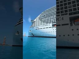 MSC World America at Ocean Cay 💙 #msccruises #mscworldamerica #cruises #shorts