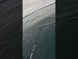 Slow Jigging 101!