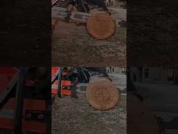 592 xp vs PORTED 372xpw #short #husqvarna