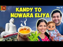 Discover 🔎 the SECRET to Authentic Ceylon Tea 🍵 in Sri Lanka Today!