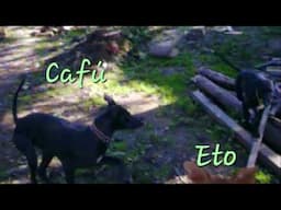 Cafú y Eto - Video inédito de casi 20 años atrás
