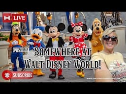 Somewhere at Walt Disney World #live