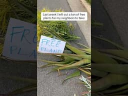 Free plant good karma? Yes please! #garden #plants #freeplants