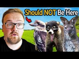 6 Animals That Should NOT Be In The UK