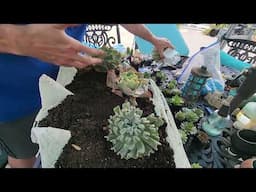 Making Huge Succulent Planters