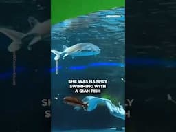 Giant fish bites woman dressed as mermaid #shorts
